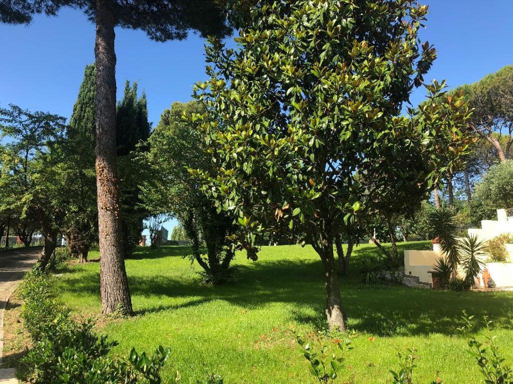 Residenza Verdemare 米萨诺阿德里亚蒂科 外观 照片
